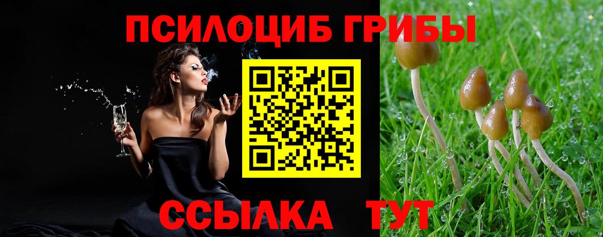 Псилоцибиновые грибы мухоморы Люберцы